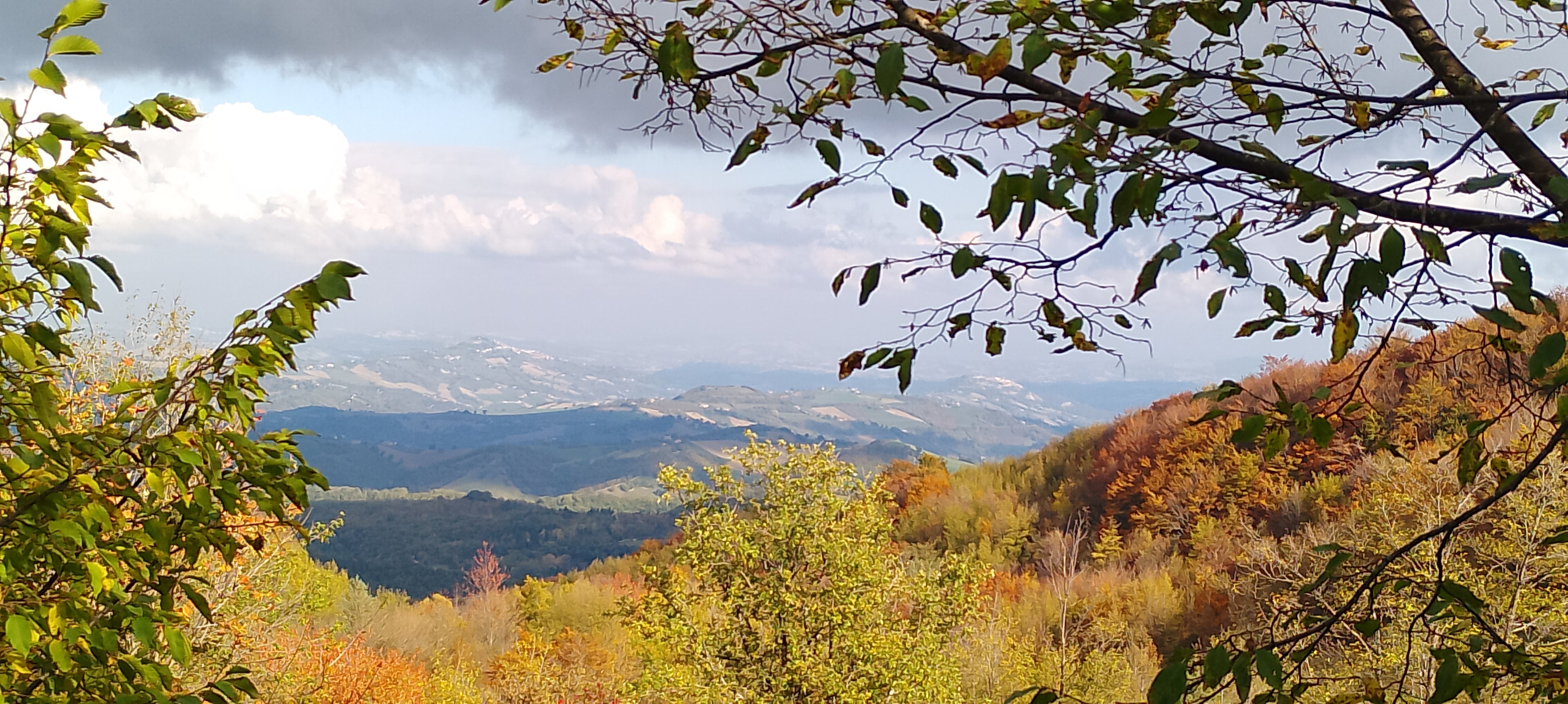 Borsa Maremmano